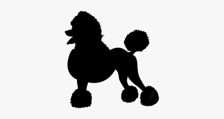 Transparent Poodle Dog Silhouette - Clip Art Poodle Svg, HD Png Download, Free Download