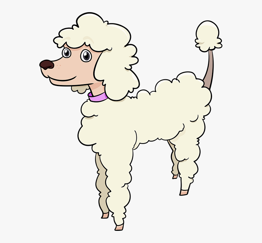 Poodle, Dog, Breed, Cute, Adorable - หมา พุด เดิ้ ล การ์ตูน, HD Png Download, Free Download