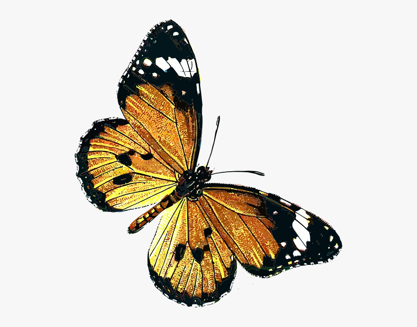 Public Domain Vintage Butterfly, HD Png Download, Free Download