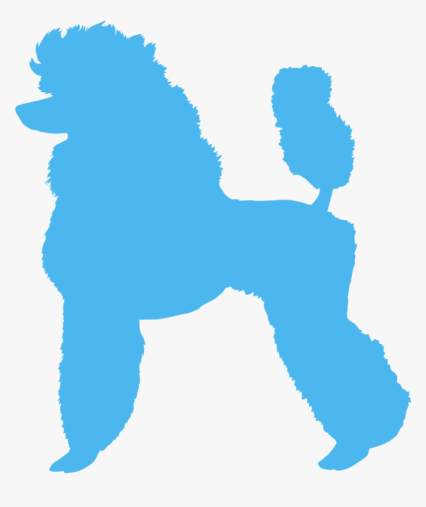 Clip Art Standard Poodle Silhouette, HD Png Download, Free Download