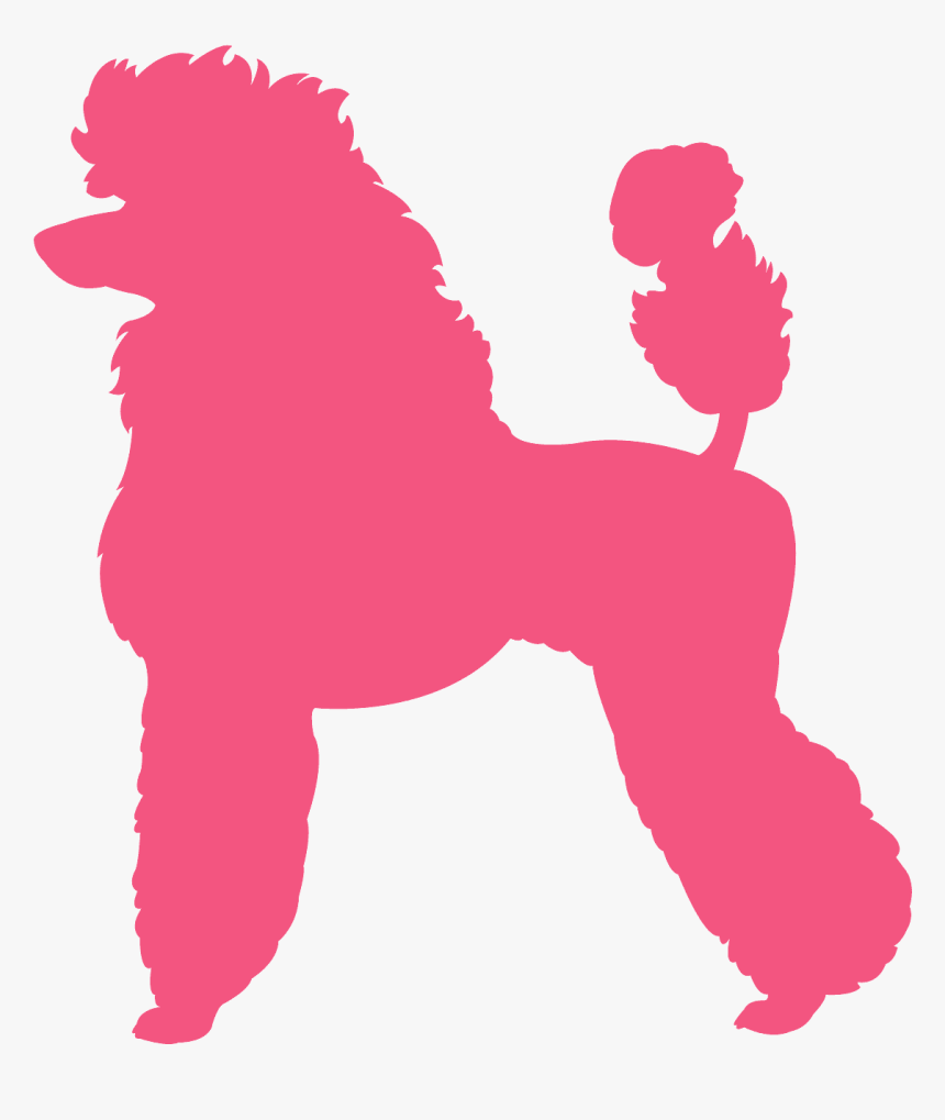 French Poodle Vector, HD Png Download, Free Download