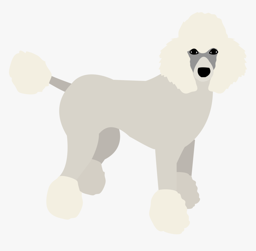 Poodle Puppy Dog Birthday Banner Personalized Party - Standard Poodle, HD Png Download, Free Download