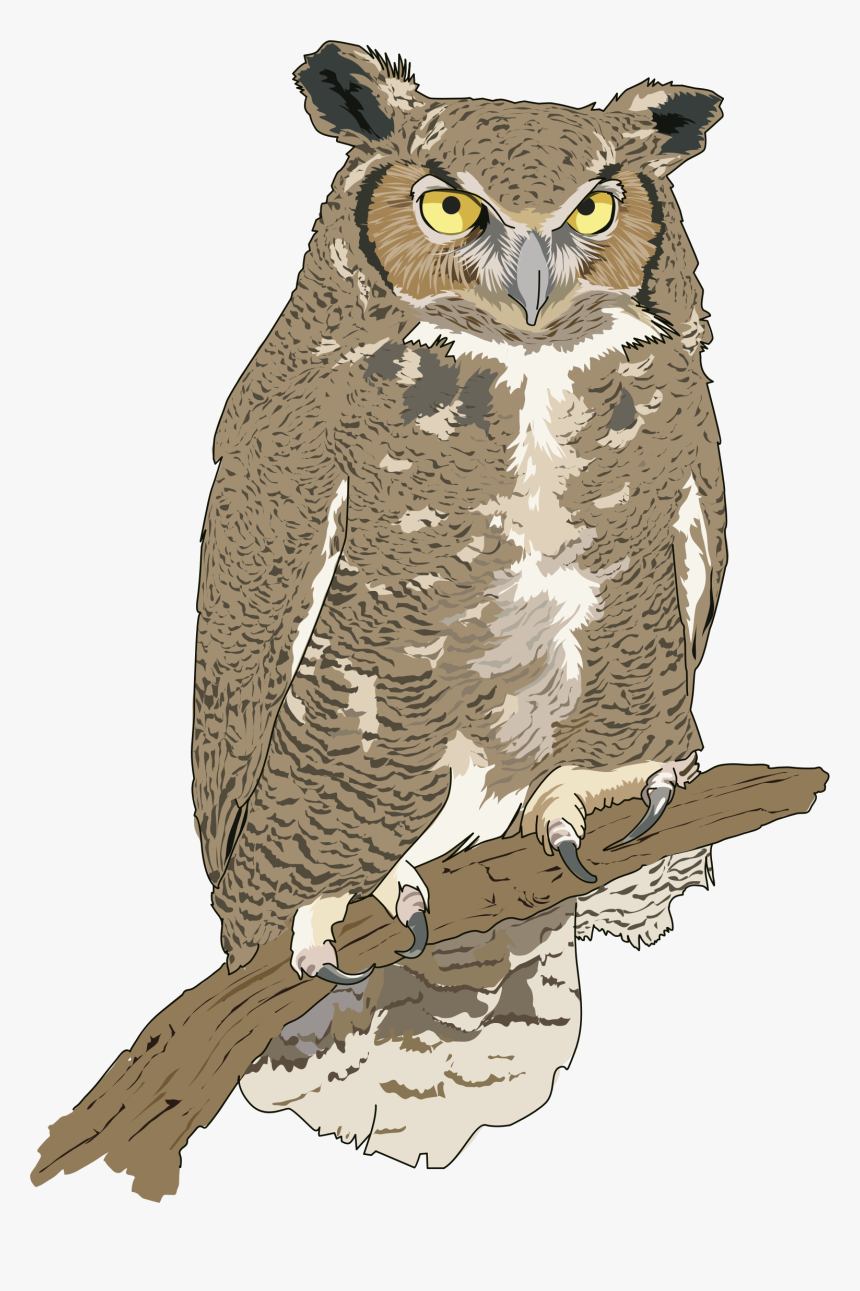 Realistic Owl Clip Art , Png Download - Food Chain To Draw, Transparent Png, Free Download