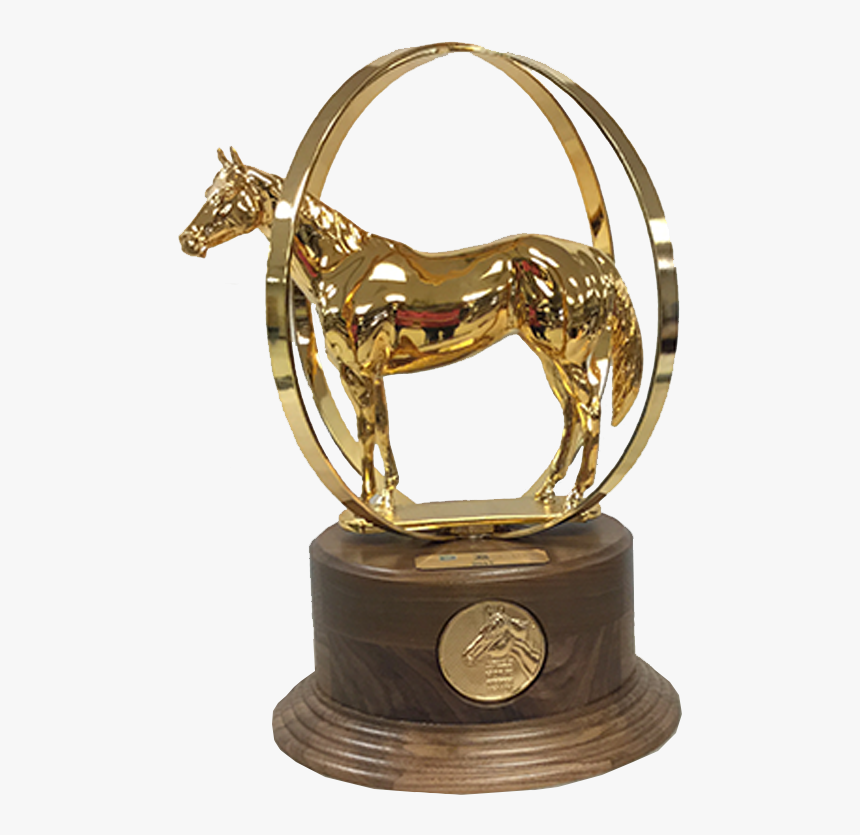Aqha World Show Trophy, HD Png Download kindpng