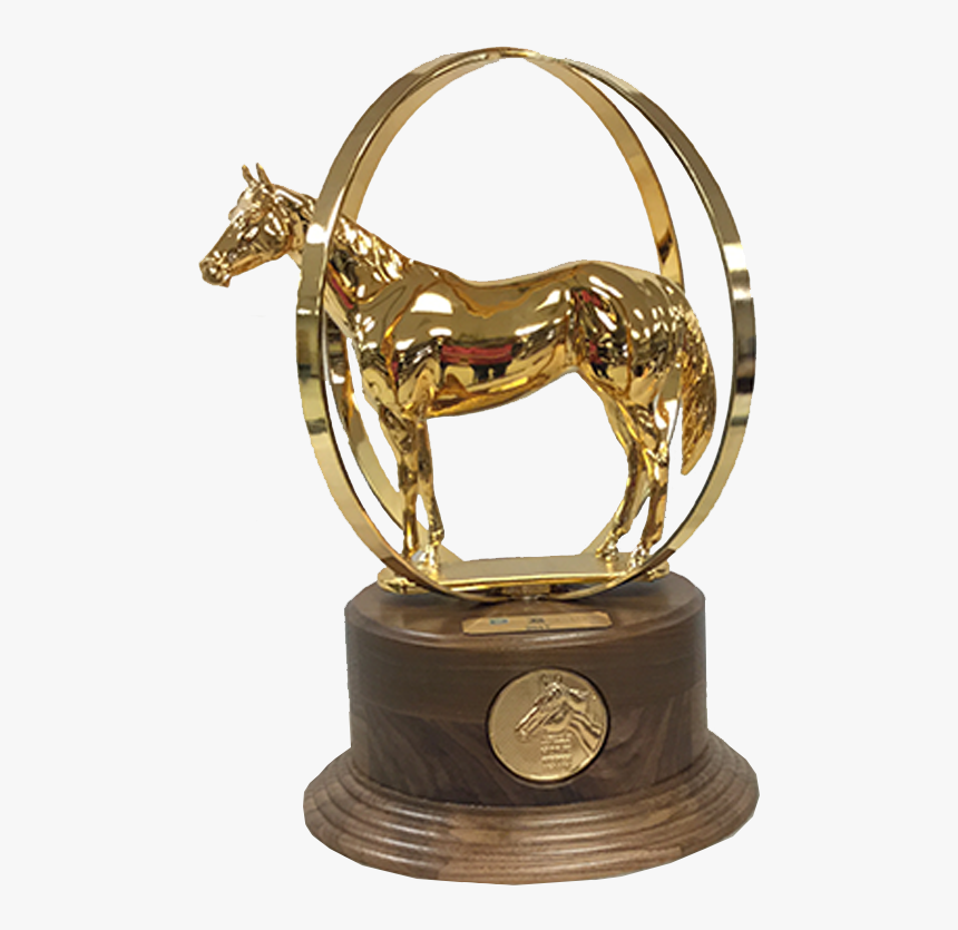 Aqha World Show Trophy, HD Png Download, Free Download