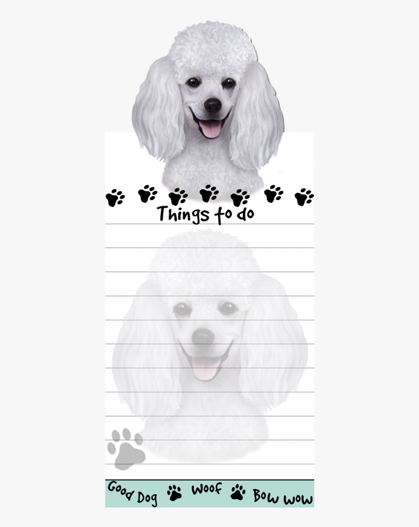 Poodle, White - Standard Poodle, HD Png Download, Free Download