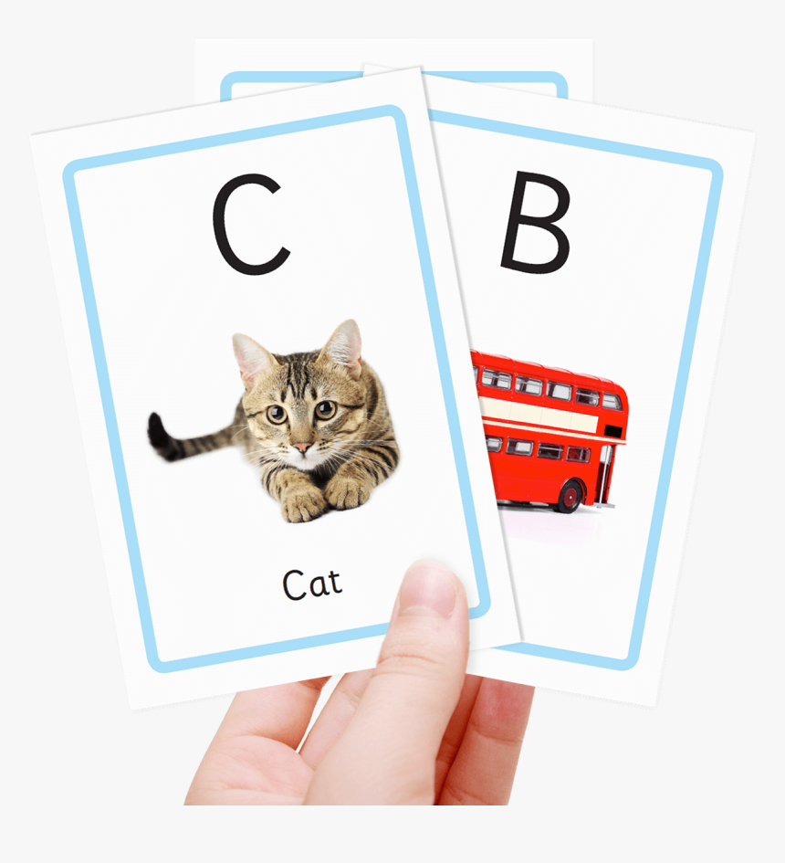 Free Alphabet Flash Cards - Real Alphabet Flash Cards, HD Png Download, Free Download