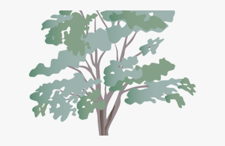 Eucalyptus Clipart Transparent, HD Png Download, Free Download