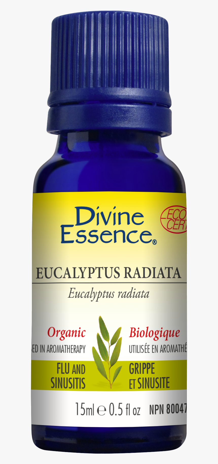 Divine Essence Eucalyptus Radiata, HD Png Download, Free Download