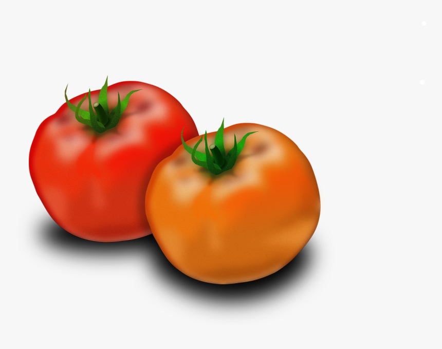 Tomato Fruit Solanum Lycopersicum Free Picture, HD Png Download, Free Download