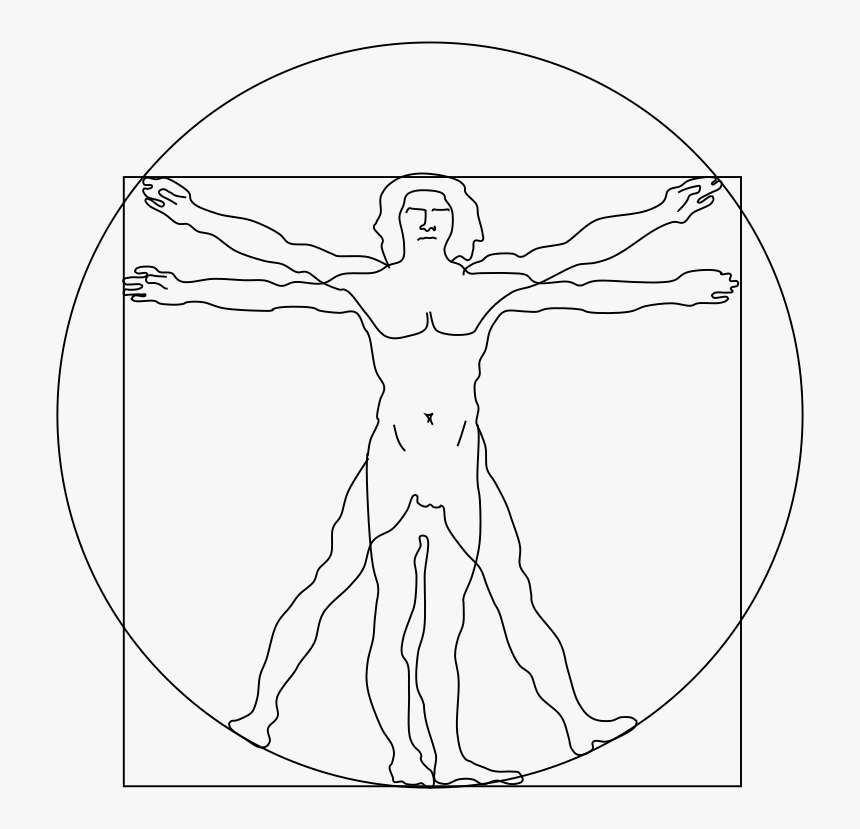 Vitruvian Man - Leonardo Da Vinci Man Easy Drawing, HD Png Download, Free Download