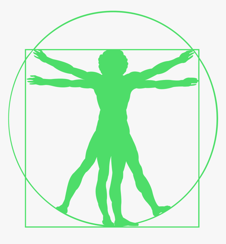 Leonardo Da Vinci Vitruvian Man Silhouette, HD Png Download, Free Download