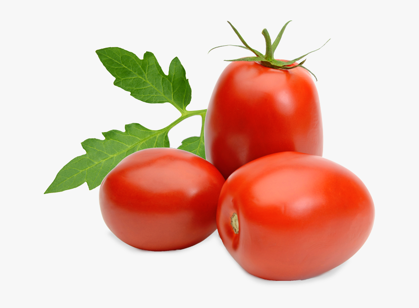 Roma Tomatoes, HD Png Download, Free Download