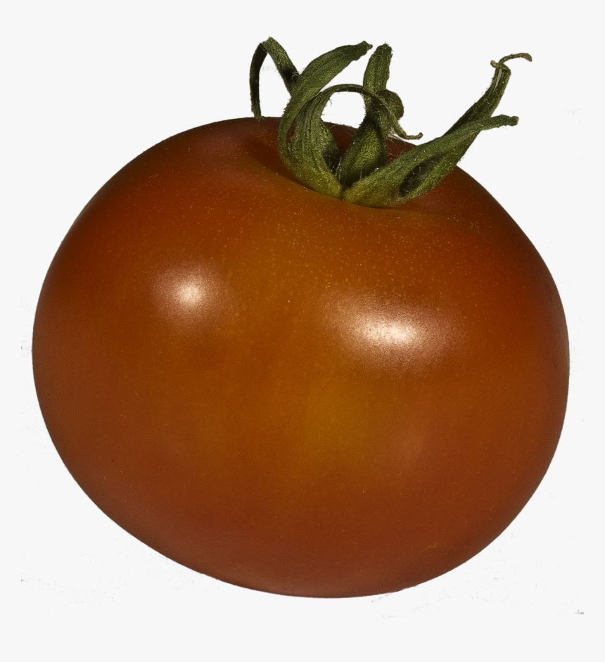 Tomato Grown Solanum Lycopersicum Free Picture - Plum Tomato, HD Png Download, Free Download