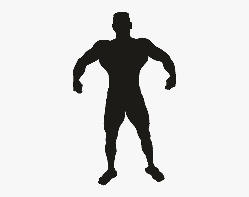 Vitruvian Man Fitness Centre Silhouette Clip Art - Muscular Man Silhouette Clipart, HD Png Download, Free Download