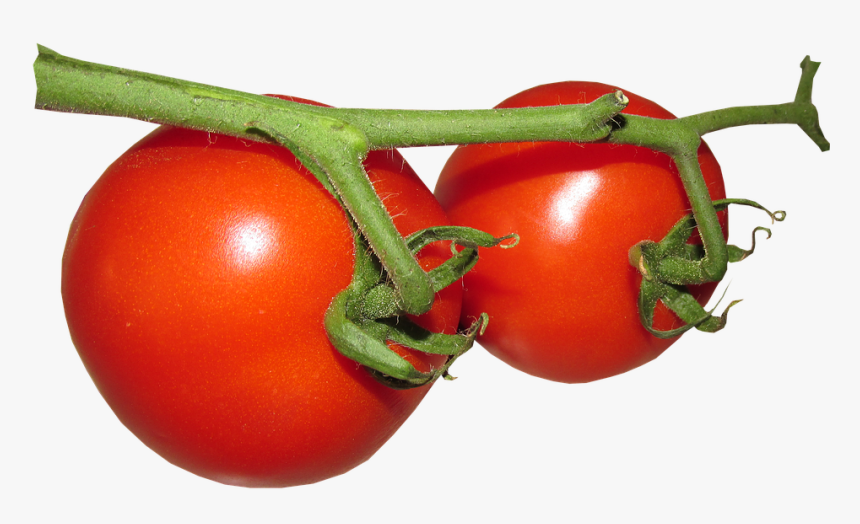 Fresh Tomato Free Png Image - Cherry Tomatoes, Transparent Png, Free Download