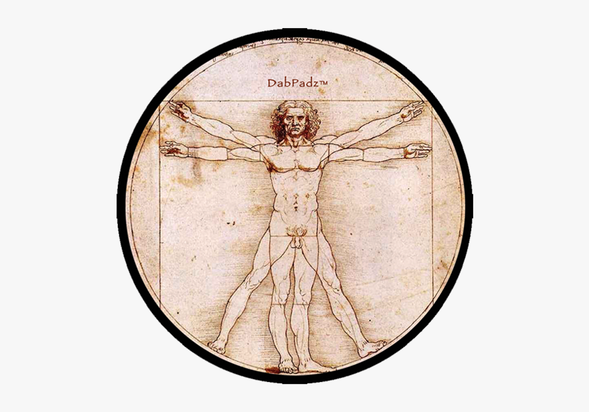 Vitruvian Man Dab Pad - Rule Of Thirds Da Vinci, HD Png Download, Free Download