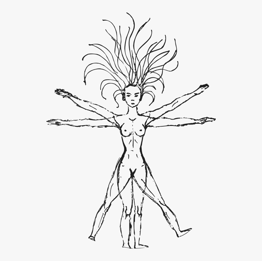 Vector Women Vitruvian - Vitruvian Man Easy Drawing, HD Png Download, Free Download