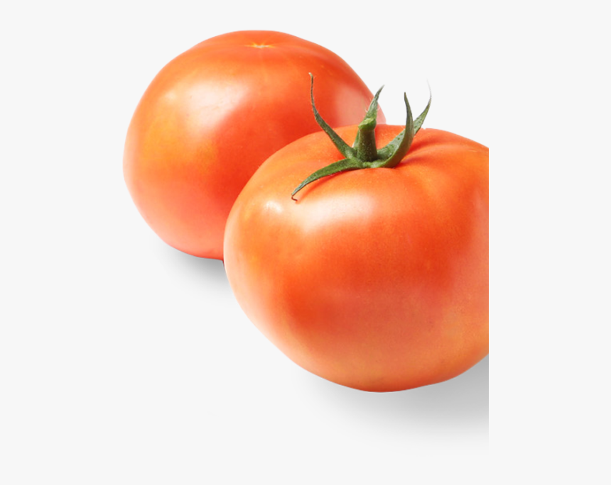 Tomato Slice Png, Transparent Png, Free Download
