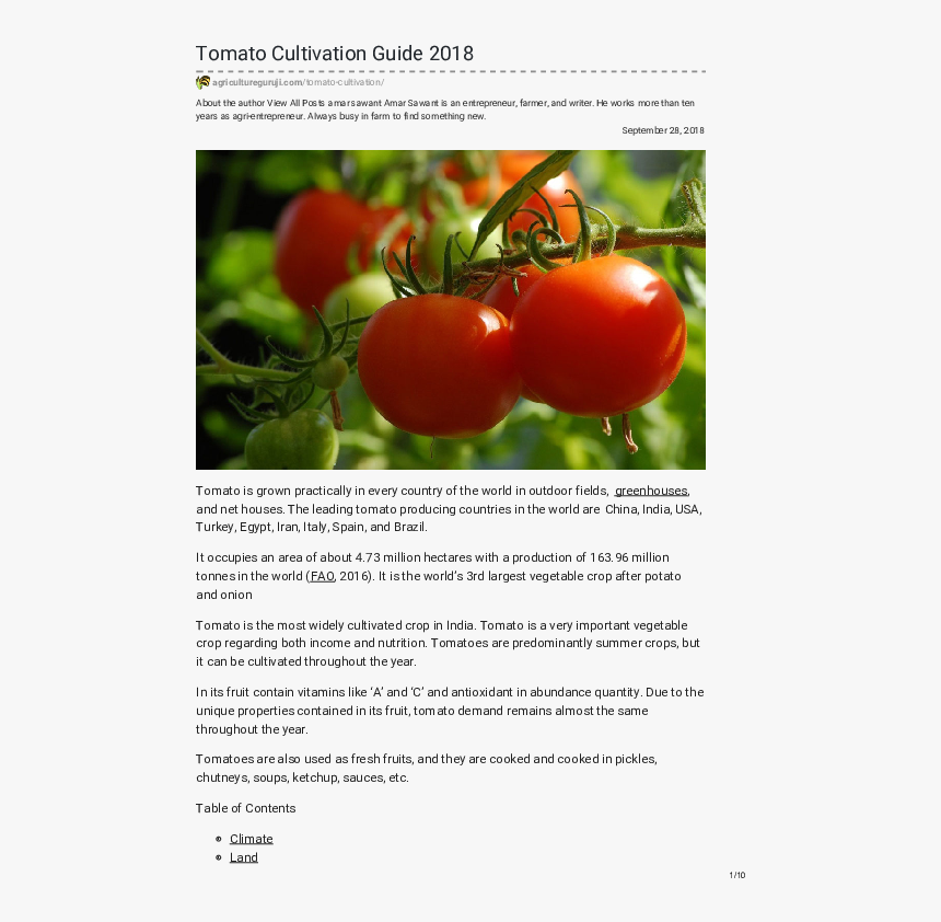 Tomato , Png Download - Tanaman Yang Cocok Ditanam Pada Musim Kemarau, Transparent Png, Free Download