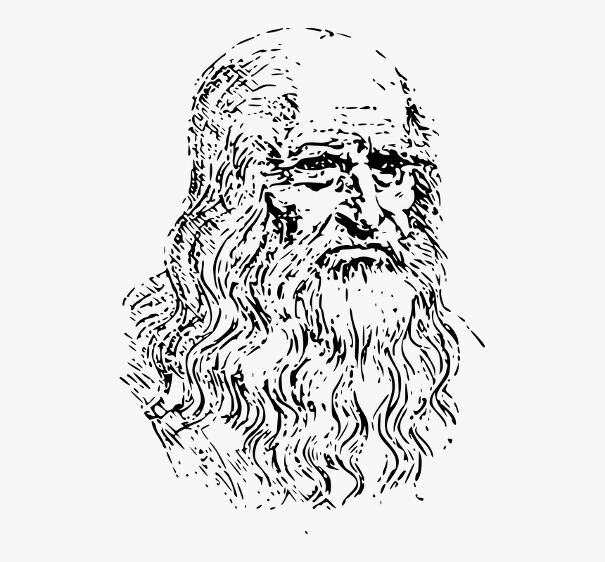 Leonardo Da Vinci, Sculptor, Renaissance, Inventor - Hydrangea Clipart Black And White, HD Png Download, Free Download