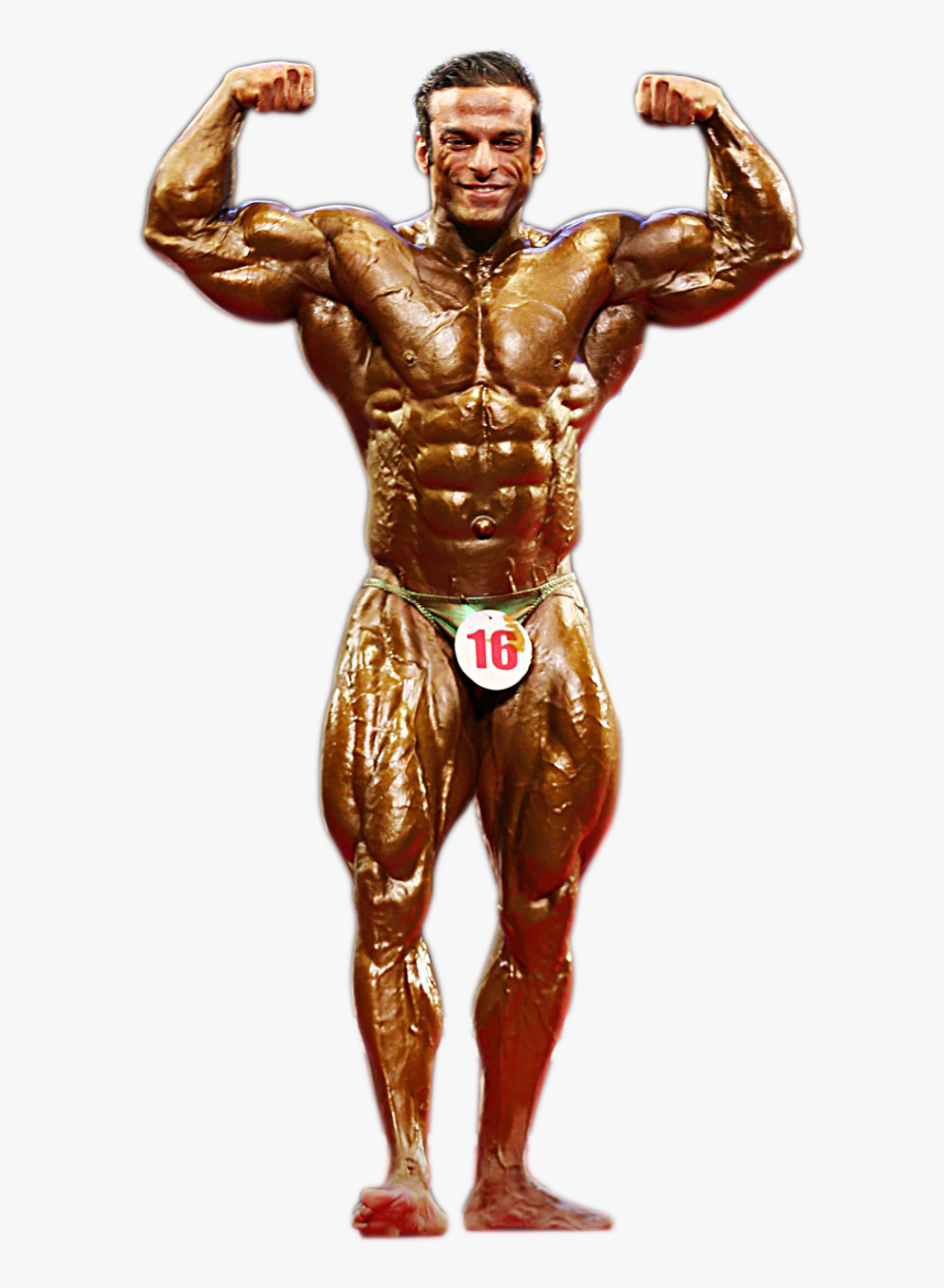 Null - Bodybuilding, HD Png Download, Free Download