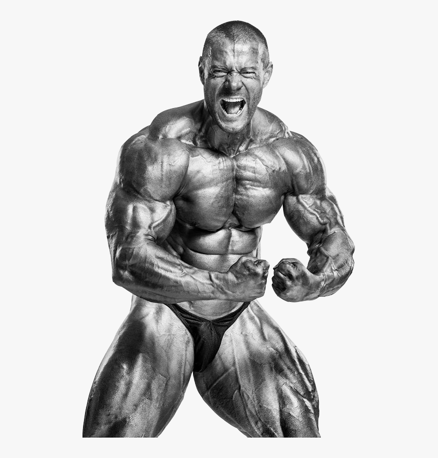 Stefan Havlik Strongmen Pinterest - Bodybuilding, HD Png Download, Free Download