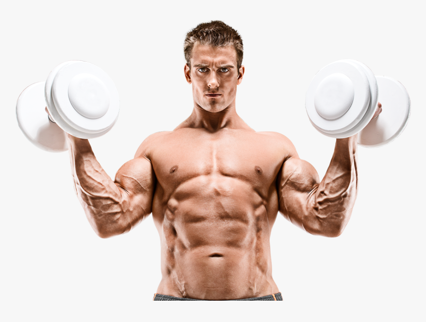 Transparent Bicep Curl Clipart - Body Builders, HD Png Download, Free Download