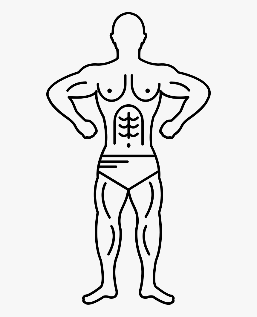 Muscular Bodybuilder Outline - Gymnast Easy Drawing, HD Png Download, Free Download