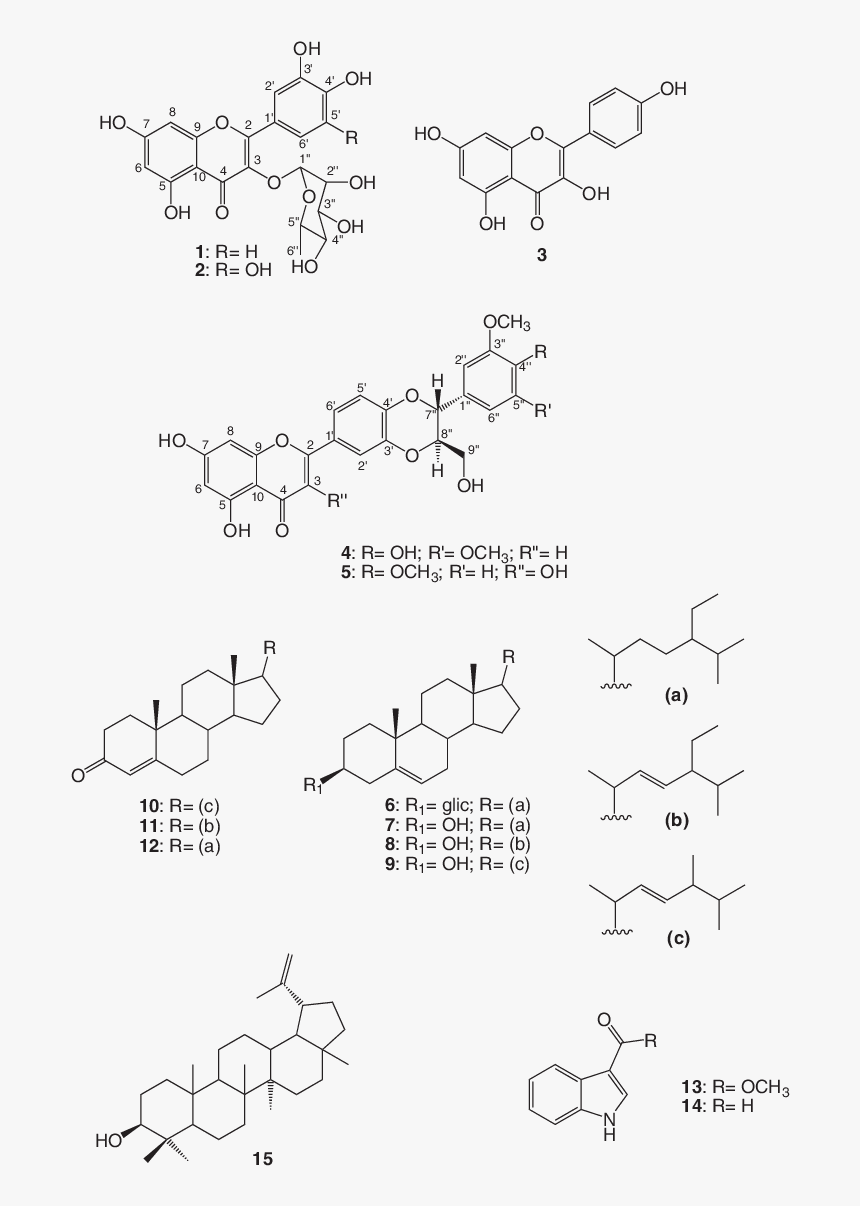 Diagram, HD Png Download, Free Download