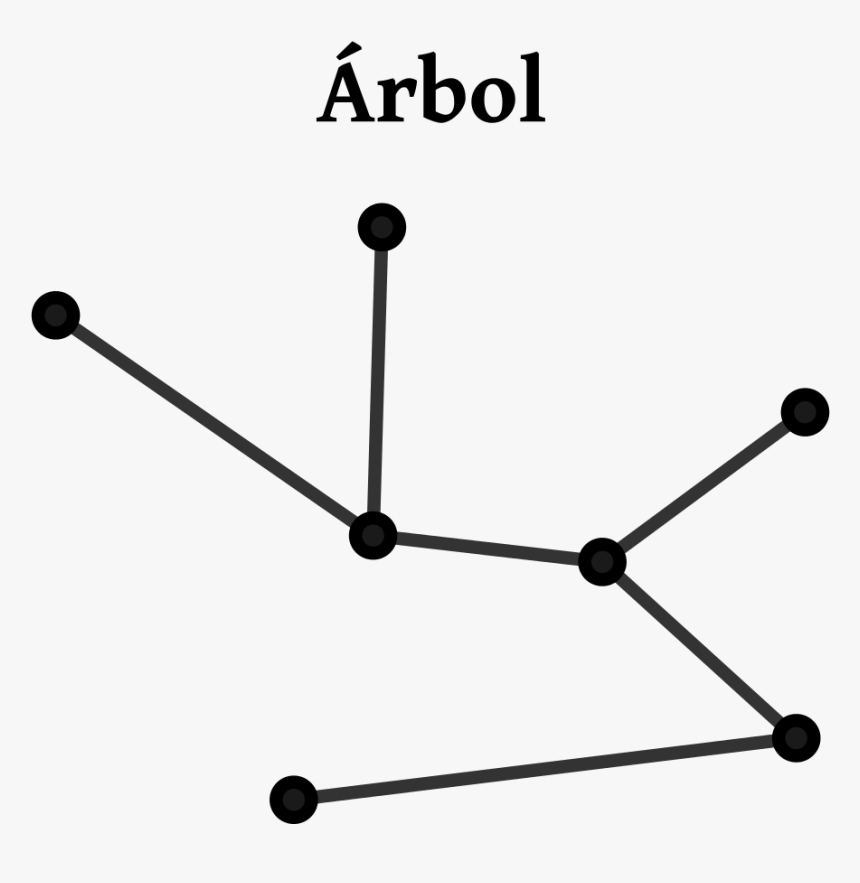 Arbol Teoria De Grafos, HD Png Download, Free Download