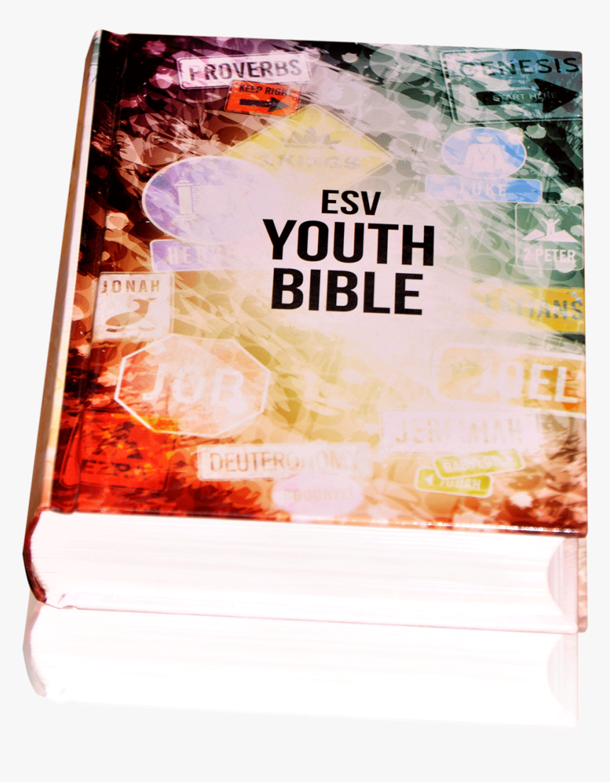 Psbesv Youth Bible - Flyer, HD Png Download, Free Download
