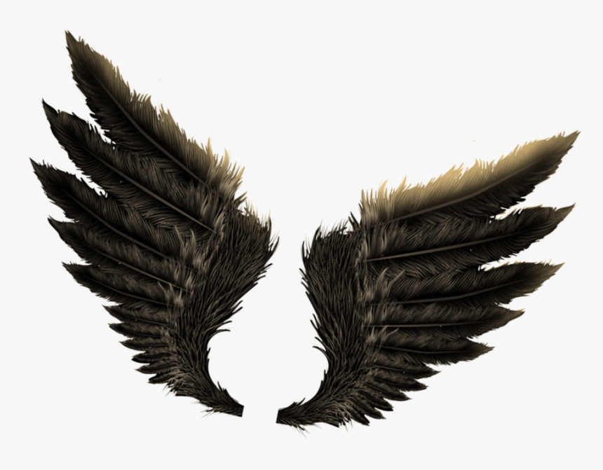 Transparent Dragon Wings Png - Wings For Photo Editing, Png Download, Free Download