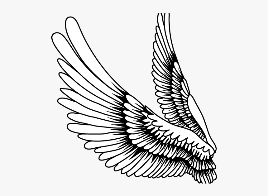 Cartoon Wings Transparent Background, HD Png Download, Free Download