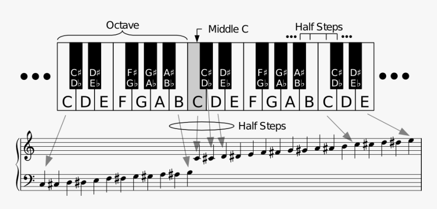 Black Notes On Piano Scale, HD Png Download, Free Download