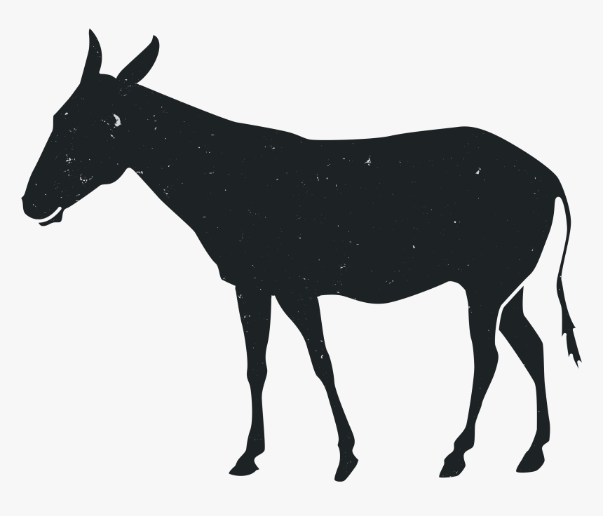 Mustang American Paint Horse Stallion Animal Silhouette - Burro, HD Png Download, Free Download