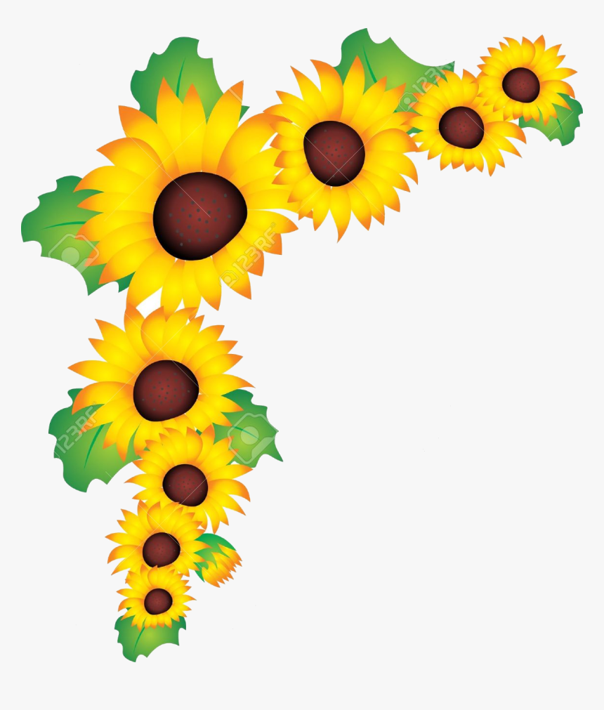 Sunflower Vector Clipart Pencil And In Color Transparent - Clip Art Sun Flower Border, HD Png Download, Free Download