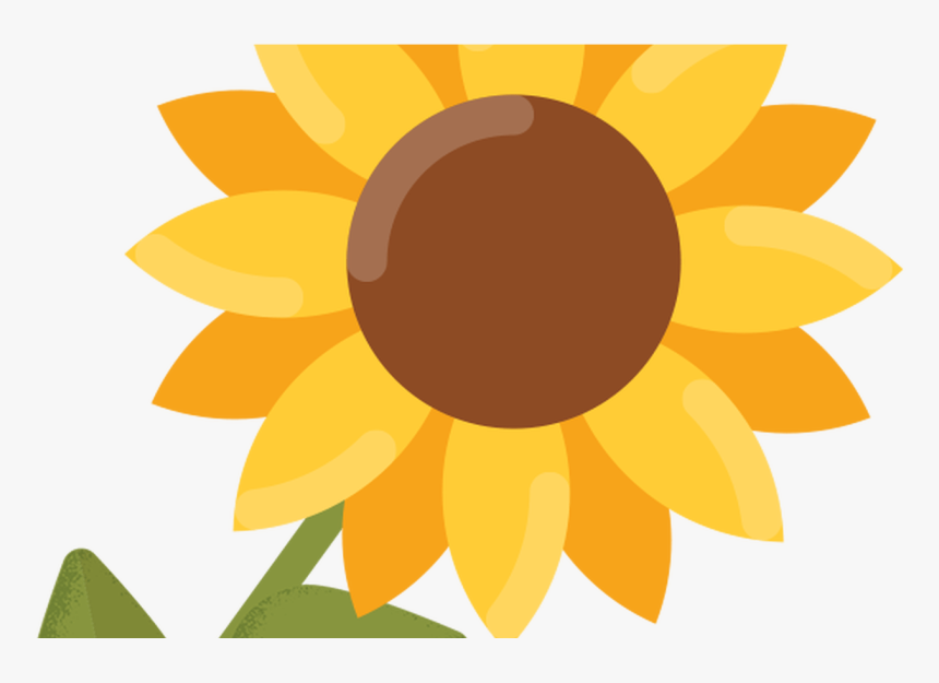 New 50 Free Sunflower Clipart Images - Cute Flower Clipart No Background, HD Png Download, Free Download