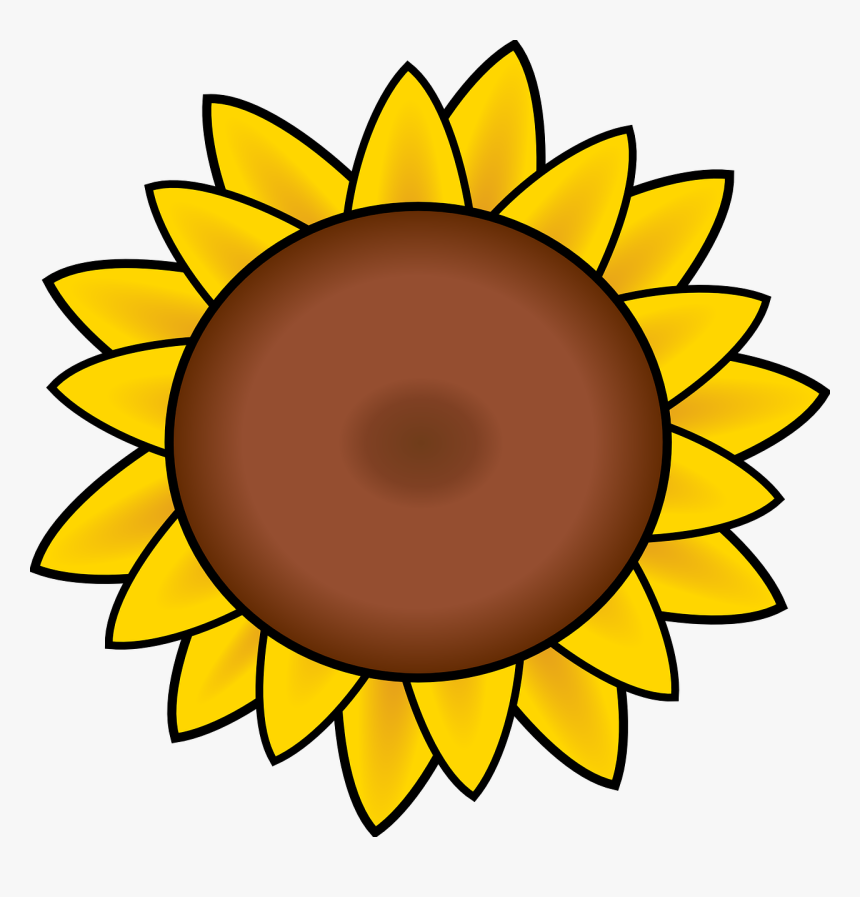 Free Image On Pixabay - Sunflower Clip Art, HD Png Download, Free Download