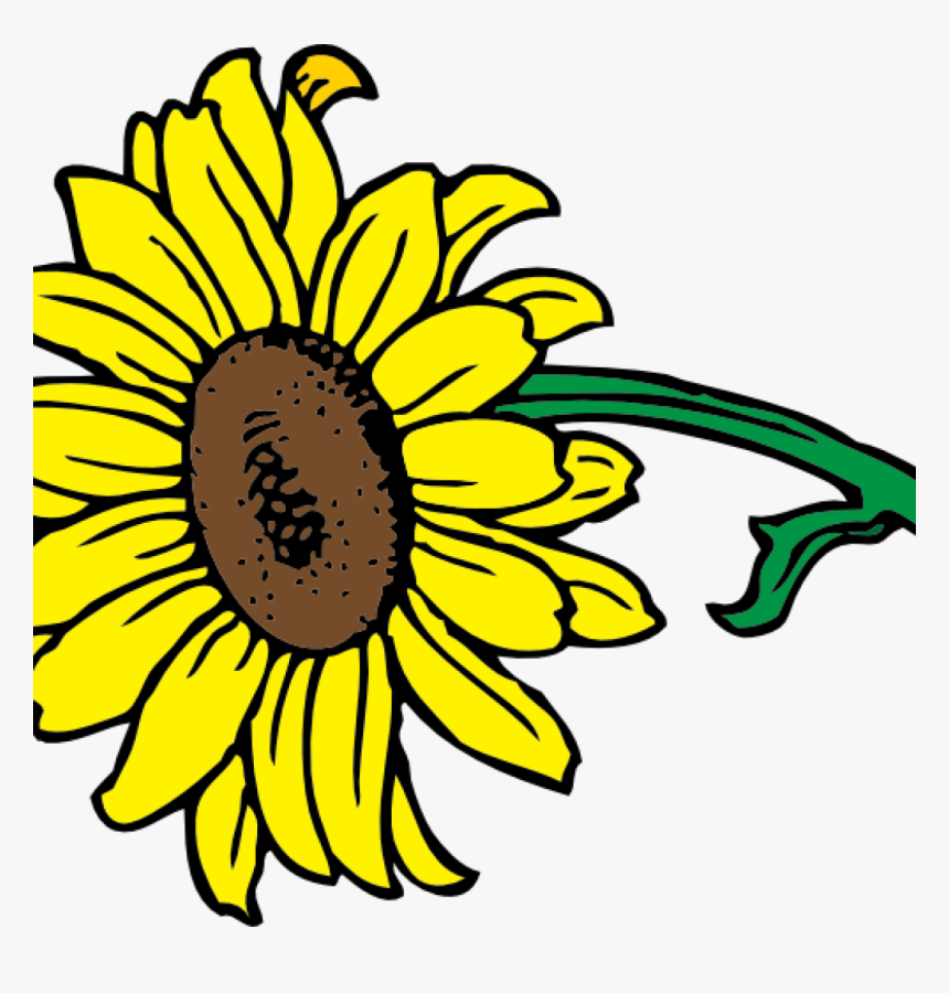 Transparent Sunflower Clipart Png - Sunflower Vector, Png Download, Free Download