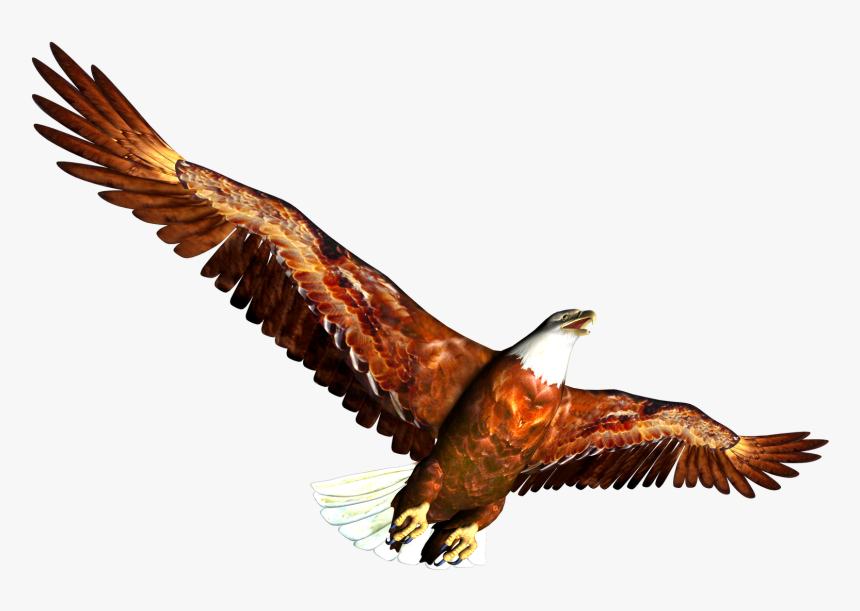 Eagle Clipart - Animal, HD Png Download, Free Download