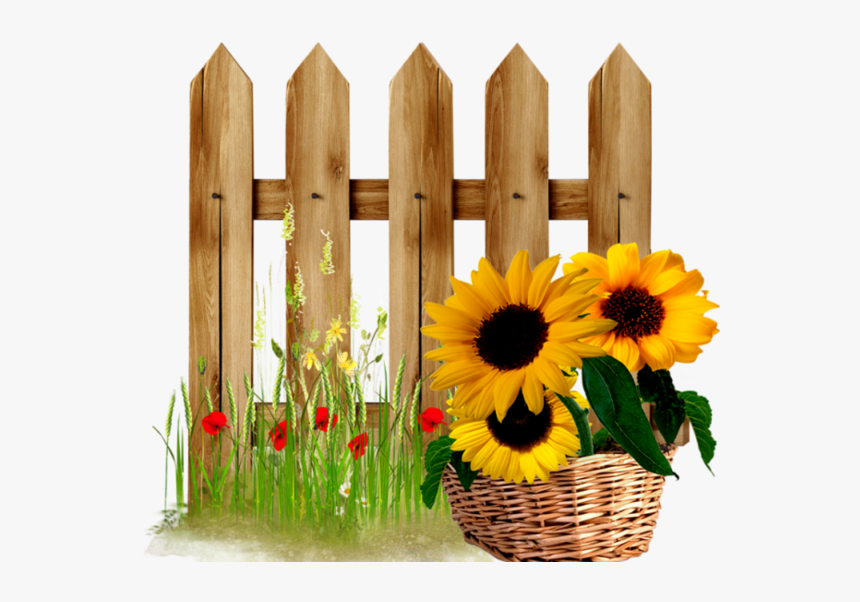Garden Pinterest Fences Sunflowers - Borders Design Flower Fences, HD Png Download, Free Download