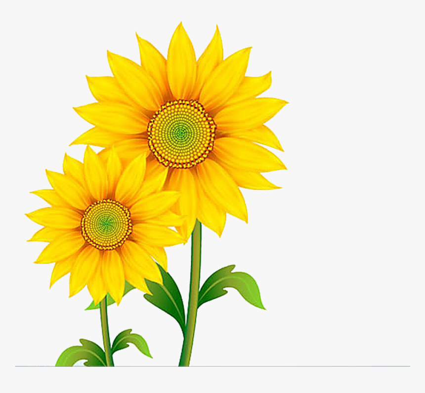 Free Content Clip Art - Transparent Background Sunflower Clip Art, HD Png Download, Free Download