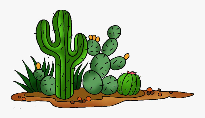 Cactaceae Saguaro Prickly Pear Clip Art - Cactus Clipart, HD Png Download, Free Download