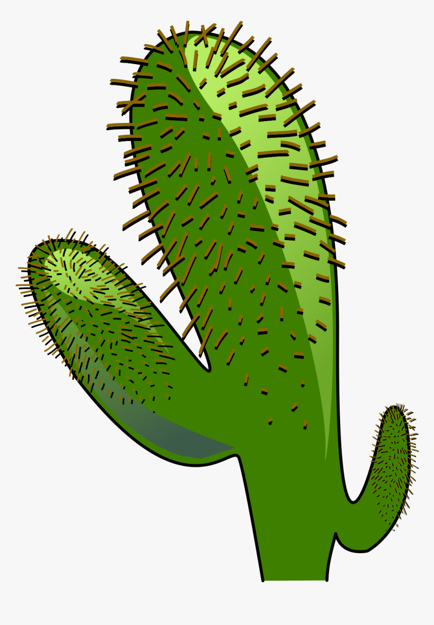 Cactus, Landscape, Dry, Green, Desert, Warm - Cactus Clipart, HD Png Download, Free Download