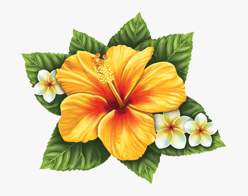 Porc Hf56 10"x9 - Hibiscus Flower Colors Yellow, HD Png Download, Free Download