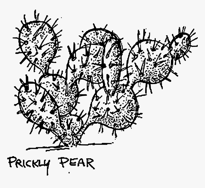 Prickly Pear Cactus Clip Arts - Prickly Pear Cactus Line, HD Png Download, Free Download