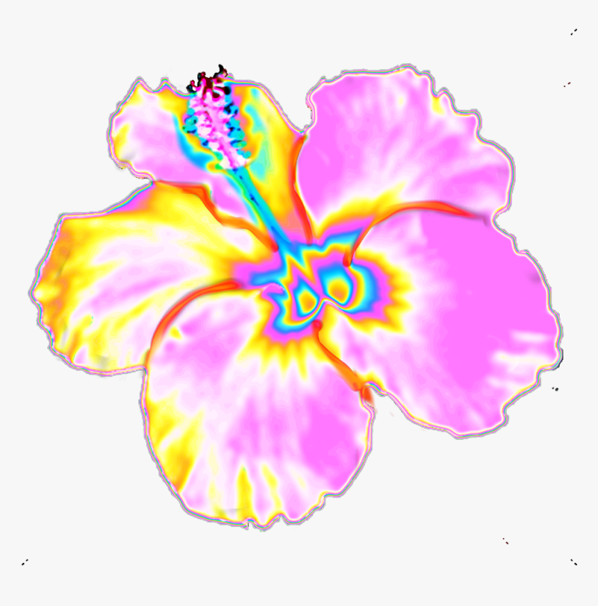 #hibiscus #flower #hawaii #tropics #garden #tropical - Hibiscus, HD Png Download, Free Download
