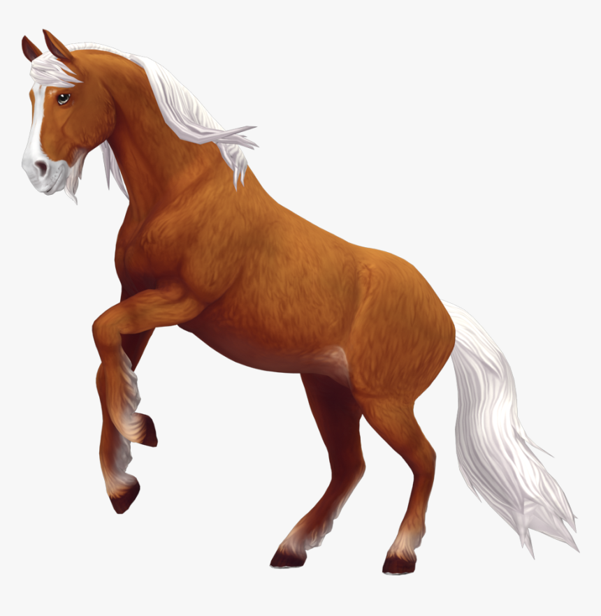 Starshine ☆ Meteor ☆ Tin-can - Star Stable Tin Can, HD Png Download, Free Download