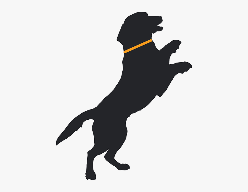 Happy Dog Jump Silhouette, HD Png Download, Free Download